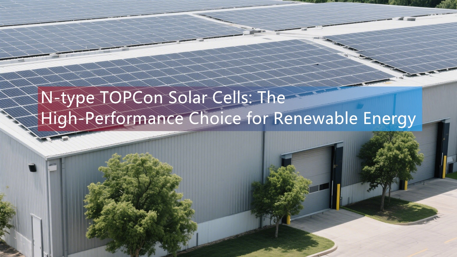 N-type TOPCon Solar Cells: The High-Performance Choice for Renewable Energy