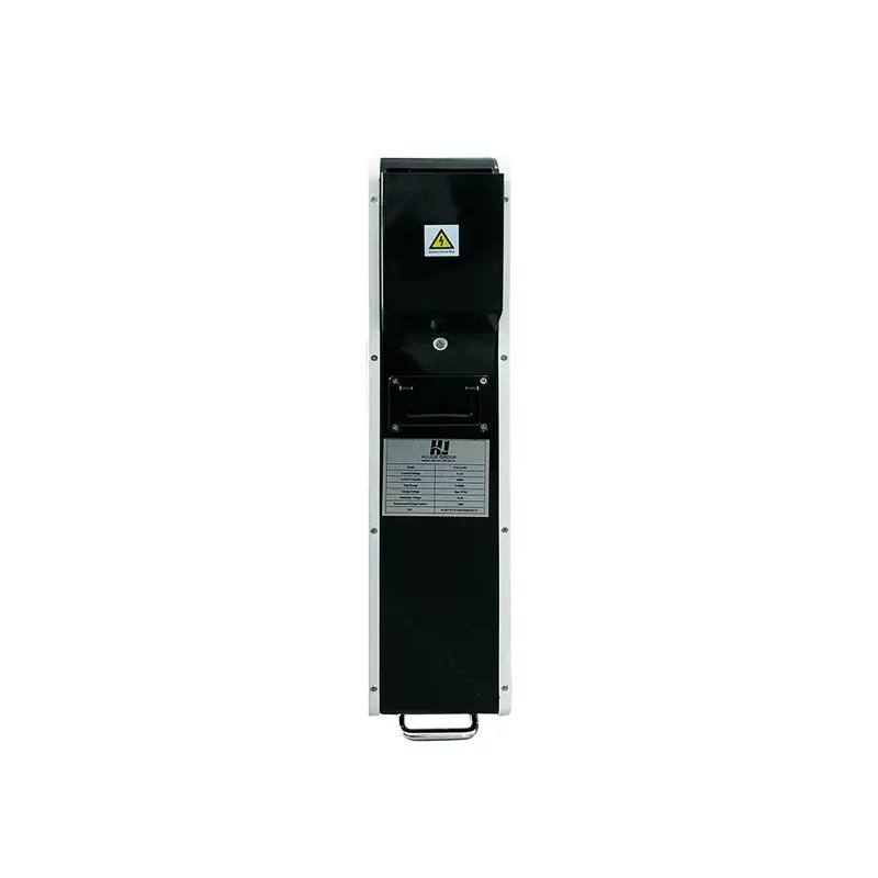 Wall-Mounted Battery