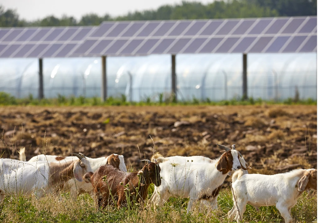 Payback Periods for Different Types of Photovoltaic Projects